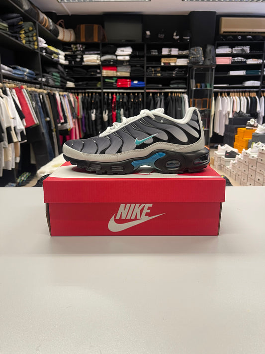 Air Max Plus TN - One Block Down Matte Silver